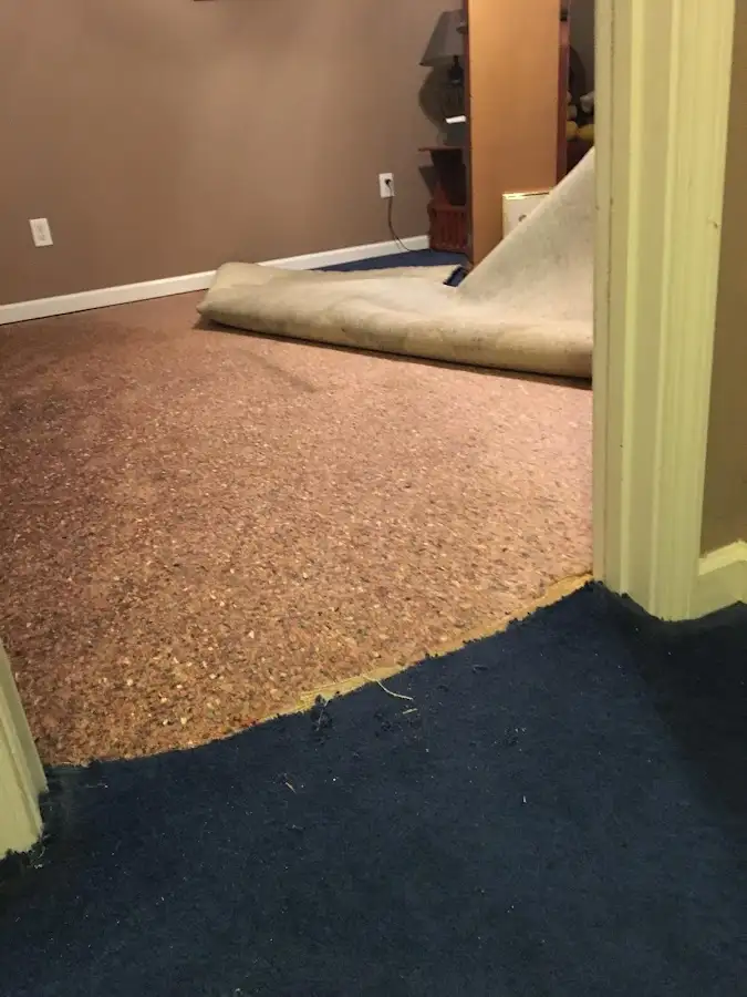 Carpet pad removal revealing water damage during Water Mitigation Services in St. Albans