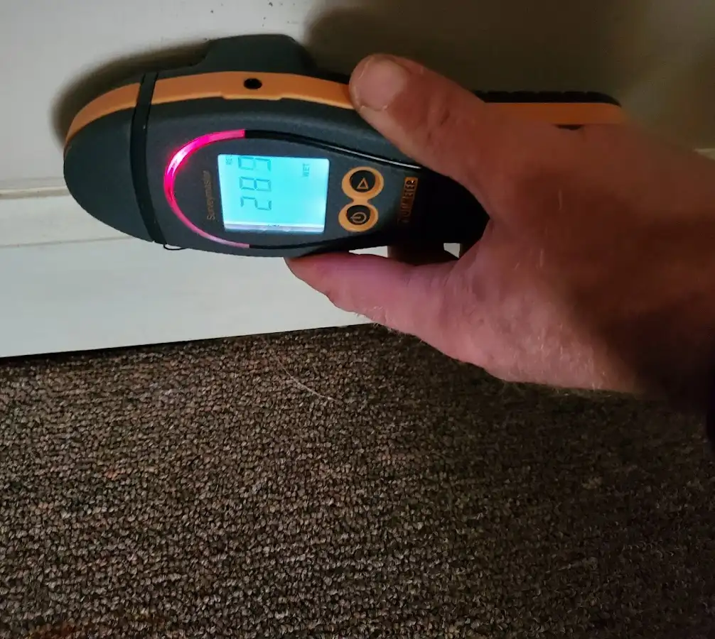 Moisture detection at baseboard during Sewage Cleanup & Sanitation in St. Albans
